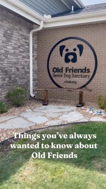 Curious about our Forever Foster program? 🐶💚 We’re answering some of your most asked questions!

Still wondering something? Leave your questions in the comments—we’d love to answer them! 👇

#animalovers #ofsds #oldfriendsseniordogsanctuary #seniordogs #frequentlyaskedquestions