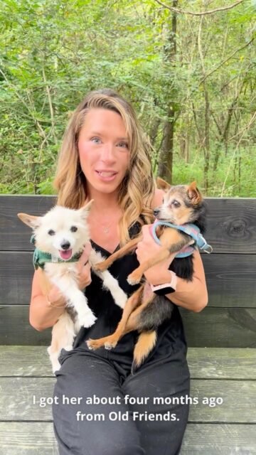 Geezer Guardian: Martha Jane update 💚

Lauren and Martha Jane are proof that home is where the heart is. 🥹 Martha Jane and her brother Peanut are doing so well in their forever foster home, and we couldn’t be happier for them! Thank you, Lauren, for giving these two the loving home they deserve. 🐾

Want to learn more about forever fostering? Check out the link in our bio! 🏡