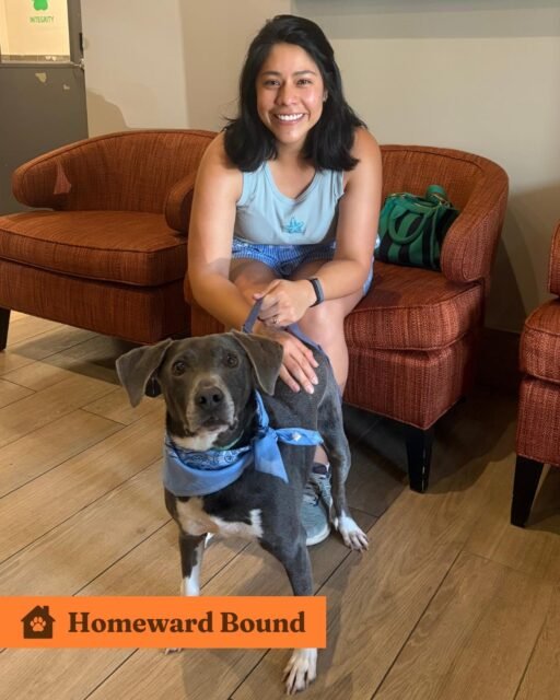🏡 Homeward Bound: Ackley 💚

Ackley went into a temporary foster home with one of his caretakers to work on training, confidence, and structure and he absolutely excelled! After all his hard work, Ackley has officially found the perfect forever home for him! We couldn’t be happier for you, Ackley! 

Interested in forever fostering, check out our website. Link in bio. 🔗