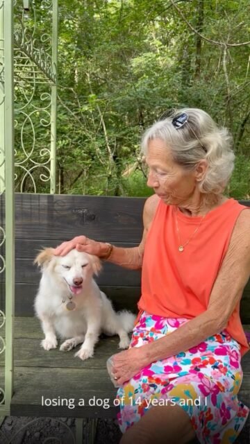 Geezer Guardian: Prince Charles Update 💚

Prince Charles is thriving, and Claudia is a big part of the reason why! Claudia welcomed Prince Charles into her home through our Forever Foster program, and he’s been living his best senior life ever since! We love seeing our seniors get the comfort, love, and care they deserve. 

Want to learn more about Forever Fostering? Visit our website to see how you can give a senior a loving home! 🏡

#animallovers #ofsds #seniordogs
#ofsdsgeezerguardian #ofsdsprincecharles