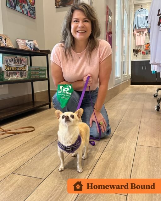 🏡 Homeward Bound: Ramen, Ella, & Katie 💚

Three more seniors are heading home, and we couldn’t be happier! ✨

Ramen hit the jackpot with a forever home and someone who will appreciate her for the special girl she is and give her the beautiful life she deserves!

Ella has been with us for a few months, and now she’s off to her next chapter with a new family and kiddos to love! She’s already doing amazing, and we couldn’t be more excited for her!

Katie has been waiting over 400 days for this moment, and SHE’S FINALLY GOING HOME! 🥹 After all that time, Katie has found her perfect match, and we couldn’t imagine a better ending to her wait.

Help us congratulate Ramen, Ella, and Katie on their happily ever afters! 🎉 Every senior deserves a place to call home, and these three are proof that the wait is worth it. 💚 

#seniordogs #ofsdshomewardbound #ofsds #animallovers