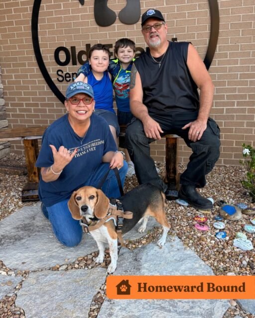 🏡 Homeward Bound: Trooper, Mascot, Aubie, & Zoey 💚

We have FOUR Old Friends who headed home this week, and our hearts couldn’t be happier! 

First up is Trooper! Trooper has been with us for 334 days, and we are SO excited to see him start this next chapter with his big new family! He has so much love ahead of him. 

Next is the infamous Mascot! You might recognize him from our Top 5 Overlooked Dogs series. After spending 497 days at Old Friends, Mascot has FINALLY found his forever home! We couldn’t be happier for this boy. Sometimes, all it takes is the right person seeing the dog everyone else has overlooked. 

Then we have Aubie! Aubie spent time in a foster home before being returned, but that helped us learn more about what he needs to thrive in his next placement. And that’s okay! Our program is here to give seniors the care and love they deserve, whether that means finding their forever family or spending their days as part of the Old Friends family at OFSDS. Every senior deserves to feel safe, loved, and at home.

Last but certainly not least, Zoey! After spending a few months with us, this sweet girl is off to her next chapter! We will never forget her adorable floppy-eared pittie self, and she will always hold a special place in our hearts. 

Four very special seniors, four new beginnings, and so many reasons to celebrate! Help us congratulate Trooper, Mascot, Aubie, and Zoey on their homeward-bound journeys! 💚 
#Ofsds  #ofsdsaubie #ofsdstrooper #ofsdszoey #ofsdsmascot