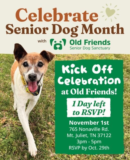 ONE MORE DAY TO RSVP! 

We’re kicking off Celebrate Senior Dog Month with something special, and we’d LOVE for you to join us! 

Come celebrate our Old Friends, meet some of our sweet seniors, and help us kick off a month dedicated to showing the world just how special senior dogs are! 🐶💚

📅 November 1st
⏰ 3 PM – 5 PM
📍 Old Friends Senior Dog Sanctuary

There’s only ONE DAY LEFT to RSVP, so don’t wait! We can’t wait to celebrate with y’all and our amazing senior dogs. 💚

🔗 Reserve your spot through the link in our bio!