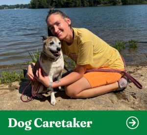 OFSDS Dog Caretaker Position