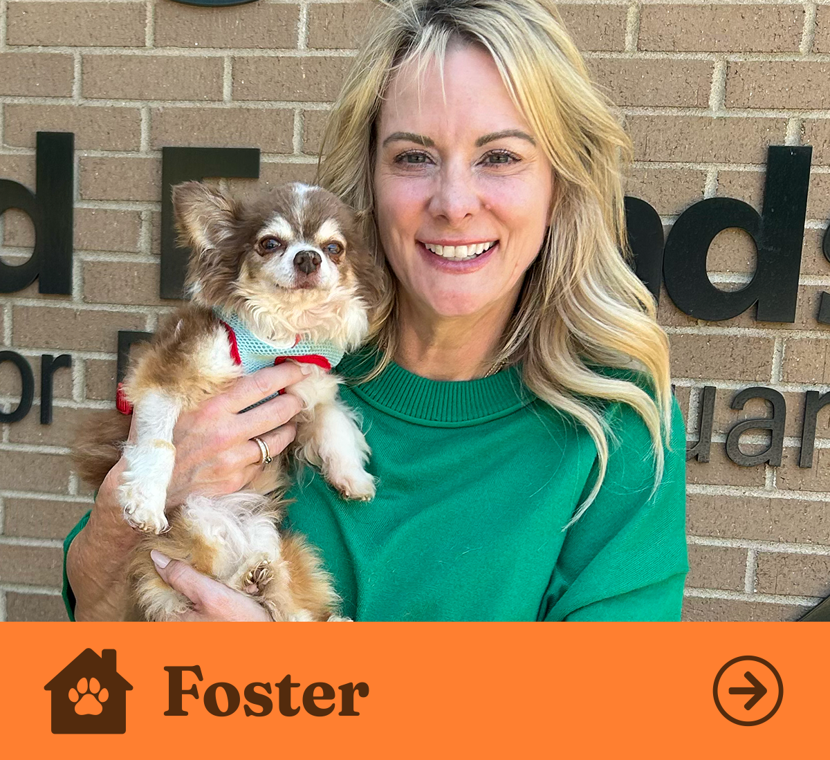 OFSDS Foster