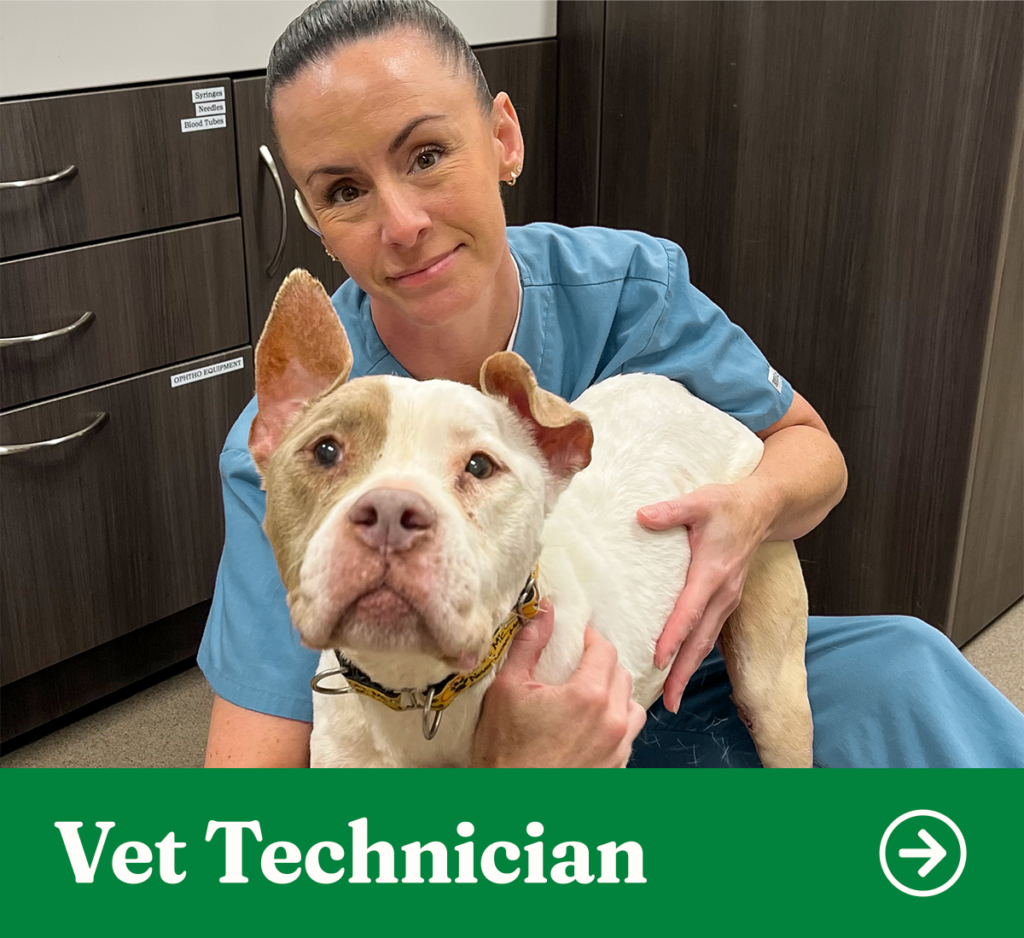 OFSDS Vet Tech Position
