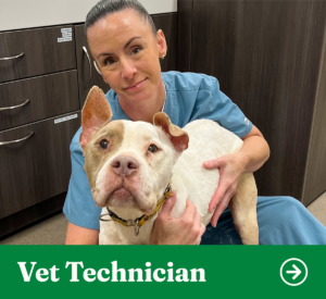 OFSDS Vet Tech Position