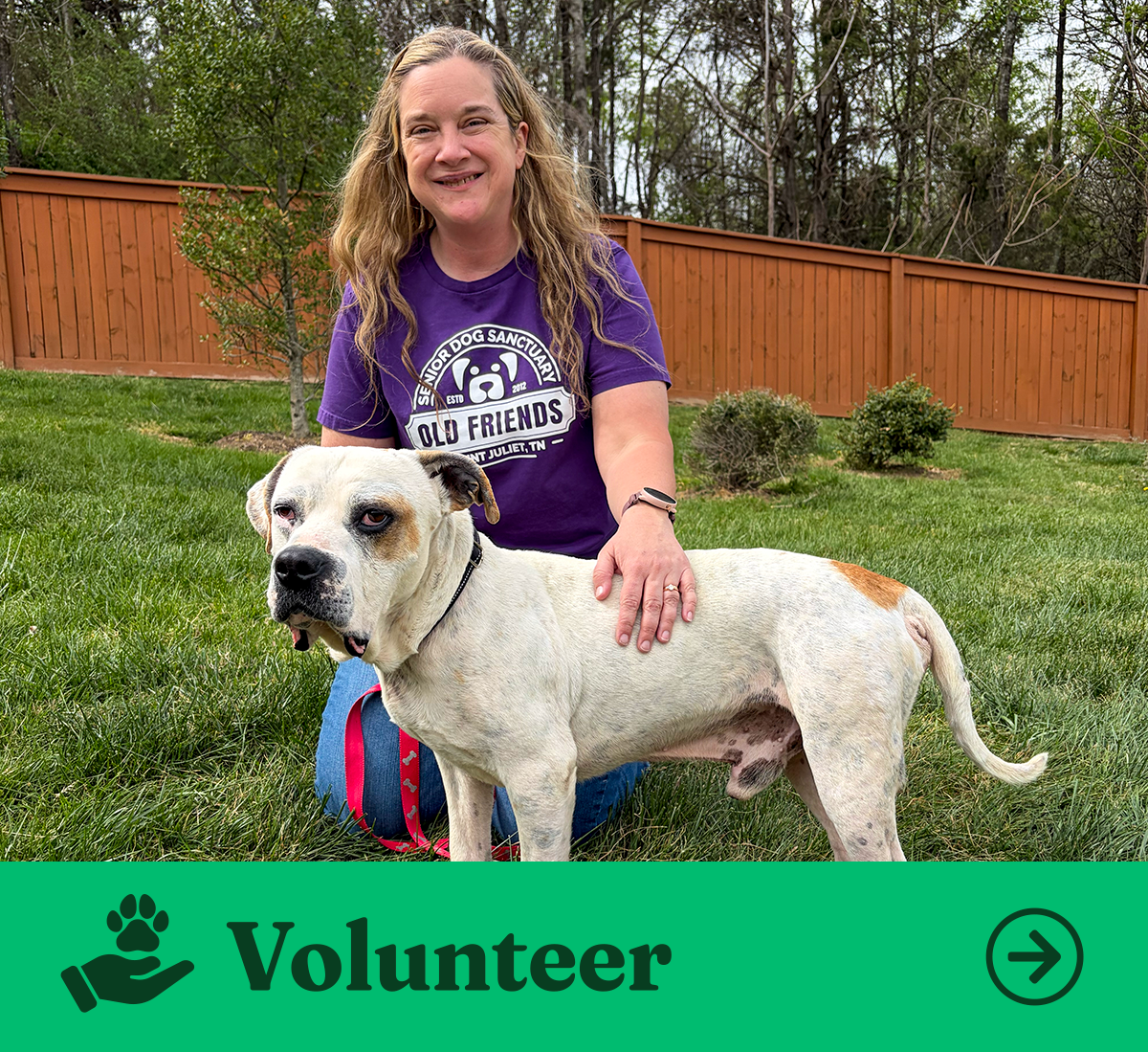 OFSDS Volunteer