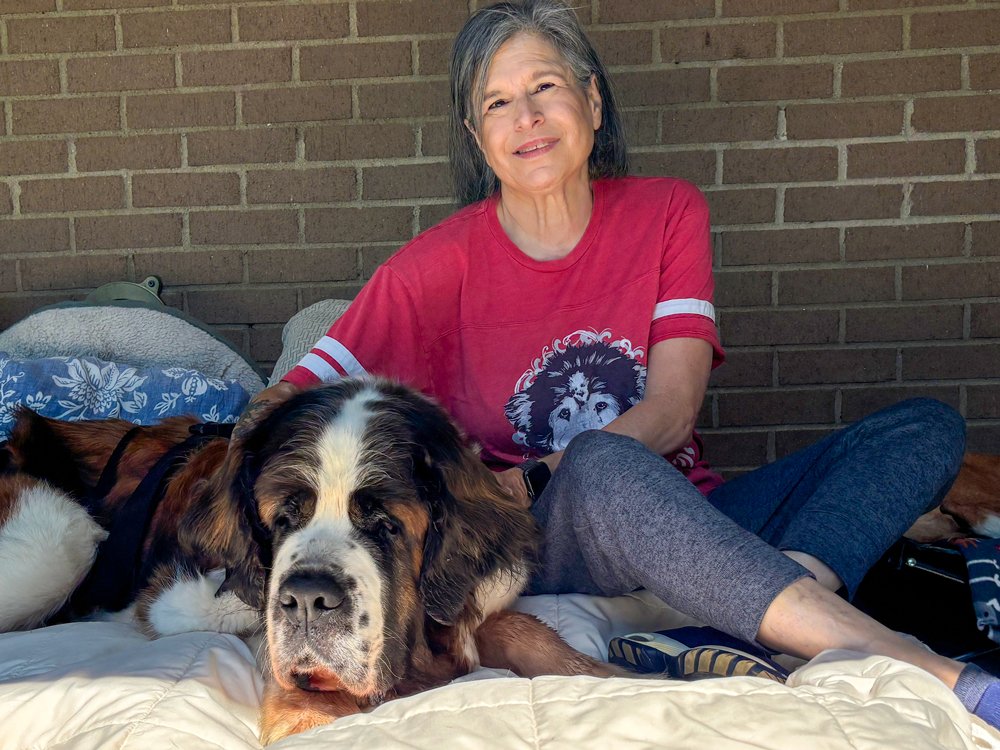 Volunteering at Old Friends Senior Dog Sanctuary