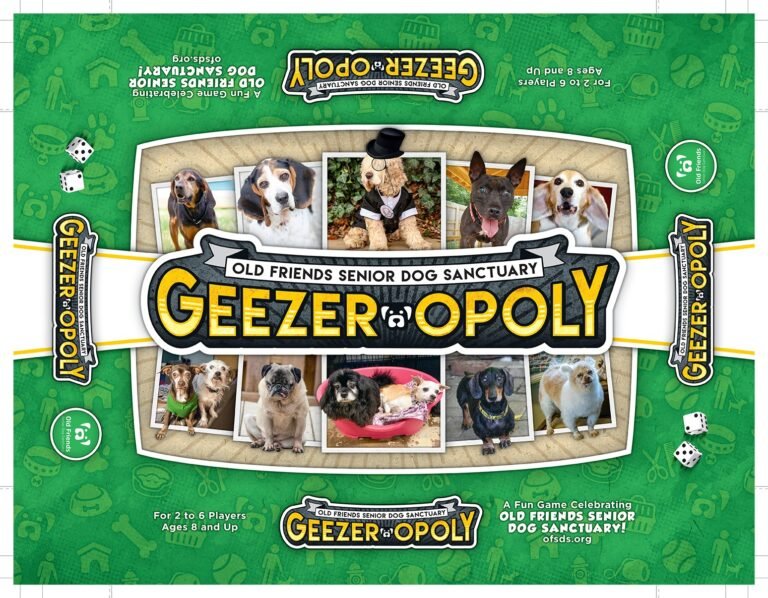 OFSDS Geezeropoly Board Game
