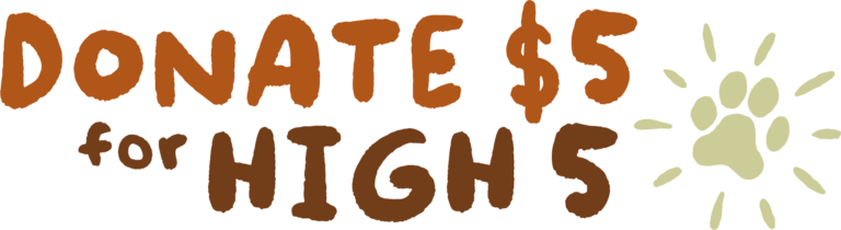 Donate $5 for High 5 Senior Dog Month Old Friends